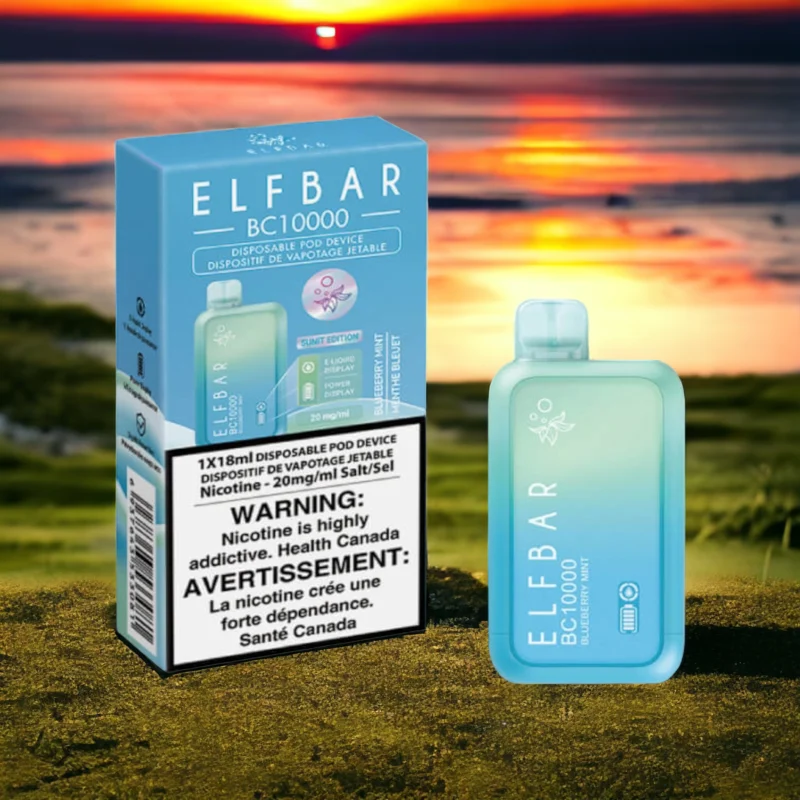 Buy Smooth ELFBAR Blue Berry Mint BC 10000 Puffs 50mg In UAE